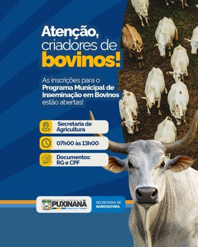 Imagem de destaque